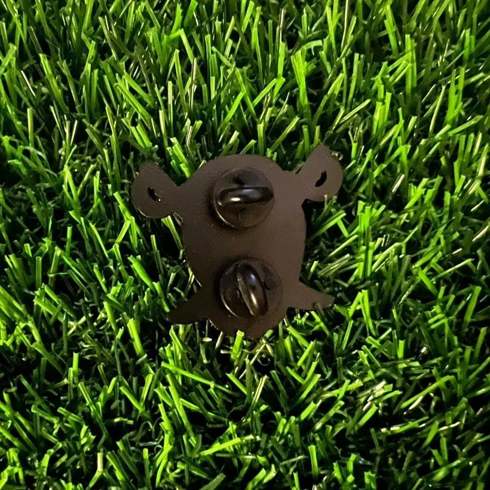 Raiders pin